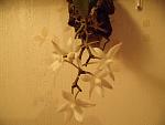     
: GEDC1891.jpg
: 7
:	80.6 
ID:	5109243