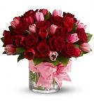     
: Image-Hosted-by-UploadHousecom-My-Flowers-flowers-wine-Crimsons-Album-flowers-rose-n-flowers-Apr.jpg
: 4
:	41.6 
ID:	5116348