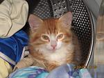    
: IMG_0818.jpg
: 5
:	124.3 
ID:	5118455