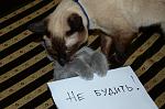     
: DSC_5774.jpg
: 12
:	113.4 
ID:	5118458