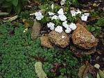     
: DSCF1346.JPG
: 11
:	218.0 
ID:	5119992