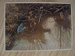     
: IMG_7143.jpg
: 15
:	153.0 
ID:	5121394