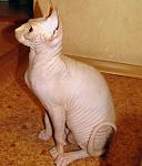     
: IMG_6147.jpg
: 10
:	91.0 
ID:	5122278
