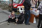    
: DSC_2307.jpg
: 13
:	168.7 
ID:	5122941