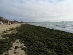     
: CIMG2615.jpg
: 13
:	141.2 
ID:	5123279