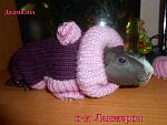     
: DSCN0412.jpg
: 3
:	119.6 
ID:	5123349