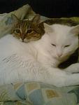    
: Фото0360.jpg
: 3
:	71.6 
ID:	5124093