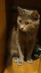     
: DSC08898.jpg
: 4
:	42.9 
ID:	5124201