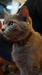     
: DSC08889.jpg
: 4
:	56.1 
ID:	5124205