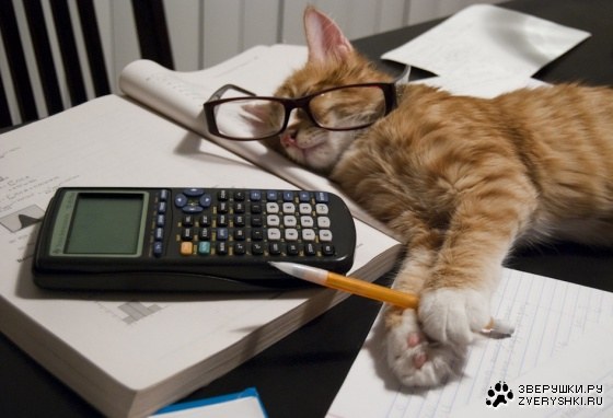     
: 1261428038_sleep.jpg
: 1
:	45.9 
ID:	5129816