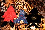     
: DSC_5612_11-05-2012_22_19.jpg
: 61
:	187.7 
ID:	5132108