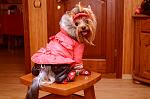     
: DSC_5466_10-21-2012_18_19.jpg
: 71
:	106.9 
ID:	5132109