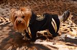     
: DSC_5586_11-05-2012_21_43.jpg
: 47
:	145.3 
ID:	5132111