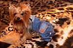     
: DSC_5603_11-05-2012_21_50.jpg
: 43
:	178.1 
ID:	5132113
