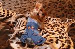     
: DSC_5600_11-05-2012_21_50.jpg
: 59
:	182.5 
ID:	5132114