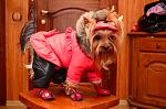     
: DSC_5473_10-21-2012_18_20.jpg
: 55
:	123.9 
ID:	5132116