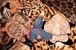    
: DSC_5614_11-05-2012_22_20.jpg
: 87
:	207.7 
ID:	5132118