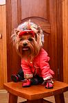     
: DSC_5475_10-21-2012_18_21.jpg
: 57
:	84.2 
ID:	5132119