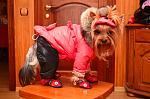     
: DSC_5471_10-21-2012_18_20.jpg
: 51
:	122.3 
ID:	5132121