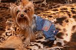     
: DSC_5596_11-05-2012_21_49.jpg
: 55
:	168.2 
ID:	5132124