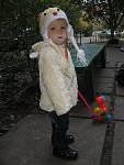     
: IMG_3592.jpg
: 5
:	99.9 
ID:	5132126