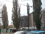     
: SNC00704.jpg
: 24
:	138.6 
ID:	5133815