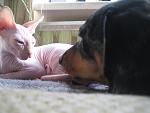     
: IMG_3708.jpg
: 10
:	92.9 
ID:	5135270