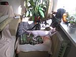     
: IMG_3722.jpg
: 7
:	153.0 
ID:	5135271