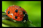     
: 160689_original.jpg
: 6
:	237.6 
ID:	5138587