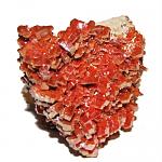     
: vanadinite.jpg
: 9
:	219.3 
ID:	5141233