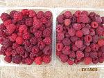     
: IMG_1494.jpg
: 44
:	229.0 
ID:	5141513