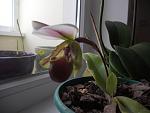     
: DSCN3548.jpg
: 6
:	85.2 
ID:	5148362