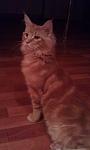     
: IMAG0342.jpg
: 3
:	36.9 
ID:	5149476