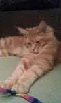     
: IMAG0329.jpg
: 3
:	47.7 
ID:	5149553