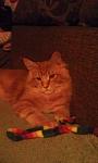     
: IMAG0309.jpg
: 5
:	50.8 
ID:	5149659