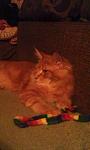     
: IMAG0308.jpg
: 3
:	52.2 
ID:	5149661