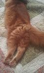     
: IMAG0397.jpg
: 3
:	60.4 
ID:	5153764