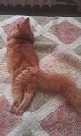     
: IMAG0396.jpg
: 3
:	73.7 
ID:	5153765