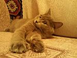     
: SNC06401.jpg
: 5
:	54.2 
ID:	5154547