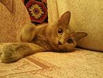     
: SNC06407.jpg
: 6
:	32.7 
ID:	5154549