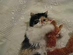     
: IMG_0797.jpg
: 5
:	150.4 
ID:	5156027