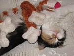     
: IMG_0794.jpg
: 4
:	181.6 
ID:	5156029
