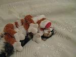     
: IMG_0788.jpg
: 4
:	156.8 
ID:	5156037