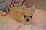     
: IMG_1475.jpg
: 13
:	83.9 
ID:	5157381