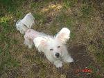     
: DSC06439.jpg
: 8
:	282.7 
ID:	5159543