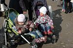     
: DSC_2422.jpg
: 25
:	164.9 
ID:	5159598