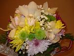     
: DSC08753.jpg
: 13
:	117.9 
ID:	5160986