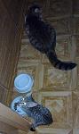     
: Mrchk_Jmk.jpg
: 27
:	50.0 
ID:	5161967