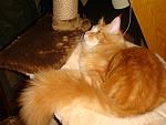     
: DSC04382.jpg
: 2
:	105.8 
ID:	5162069