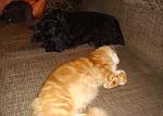     
: DSC04322.jpg
: 6
:	152.6 
ID:	5162071